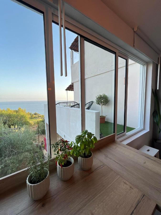 Apartment And Ivan Dolac