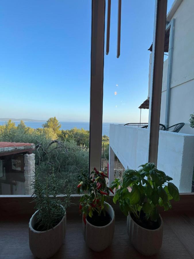 Apartment And Ivan Dolac